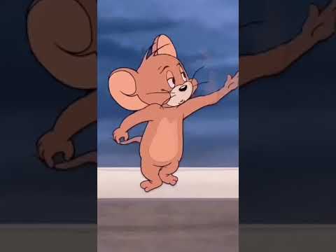 Tom and Jerry friendship status video | Swag Video Status