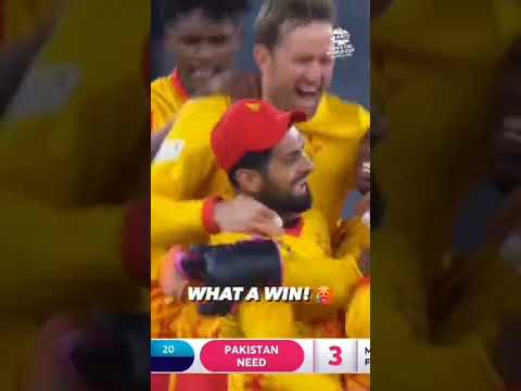 Zimbabwe Win WhatsApp status | Swag Video Status