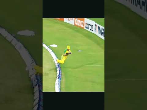 Boundary Save Best Fielding Whatsapp Cricket Tiktok Video | Swag Video Status