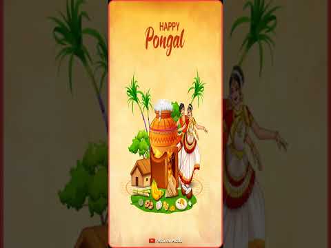 Happy Pongal 4k Ultra Hd Whatsapp Status | Swag Video Status