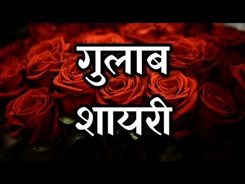 Gulab Rose Day Shayari Whatsapp Status | Swag Video Status