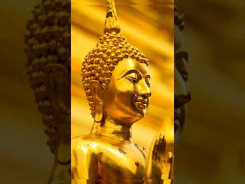 Buddha Poornima 4k Full Screen Status | Swag Video Status