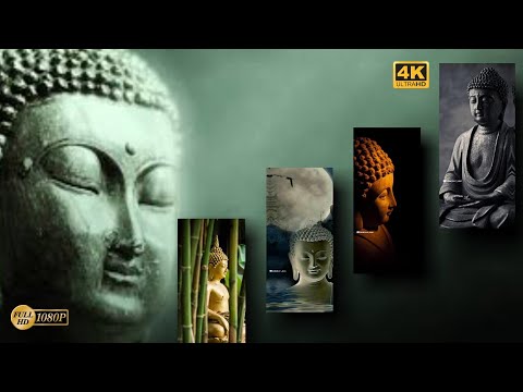 Buddha Purnima status Namo buddhay Jay Bhim | Swag Video Status