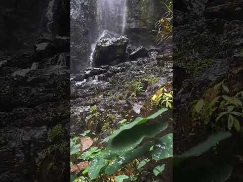 Monsoon Special Waterfall Status Shorts | Swag Video Status