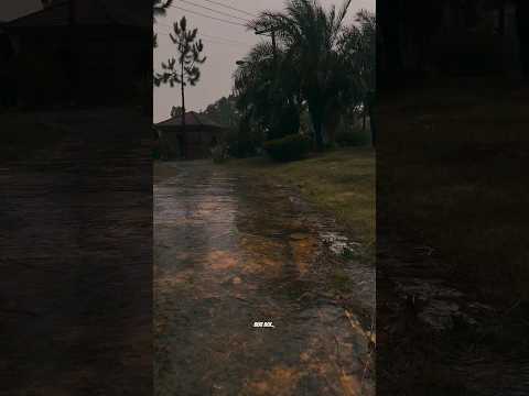 Monsoon Rainy Season Whatsapp Status Shorts | Swag Video Status