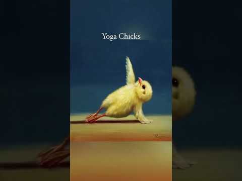 YOGA CHICKS Status Shorts | Swag Video Status